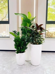 奉化绿化养护公司><div class=